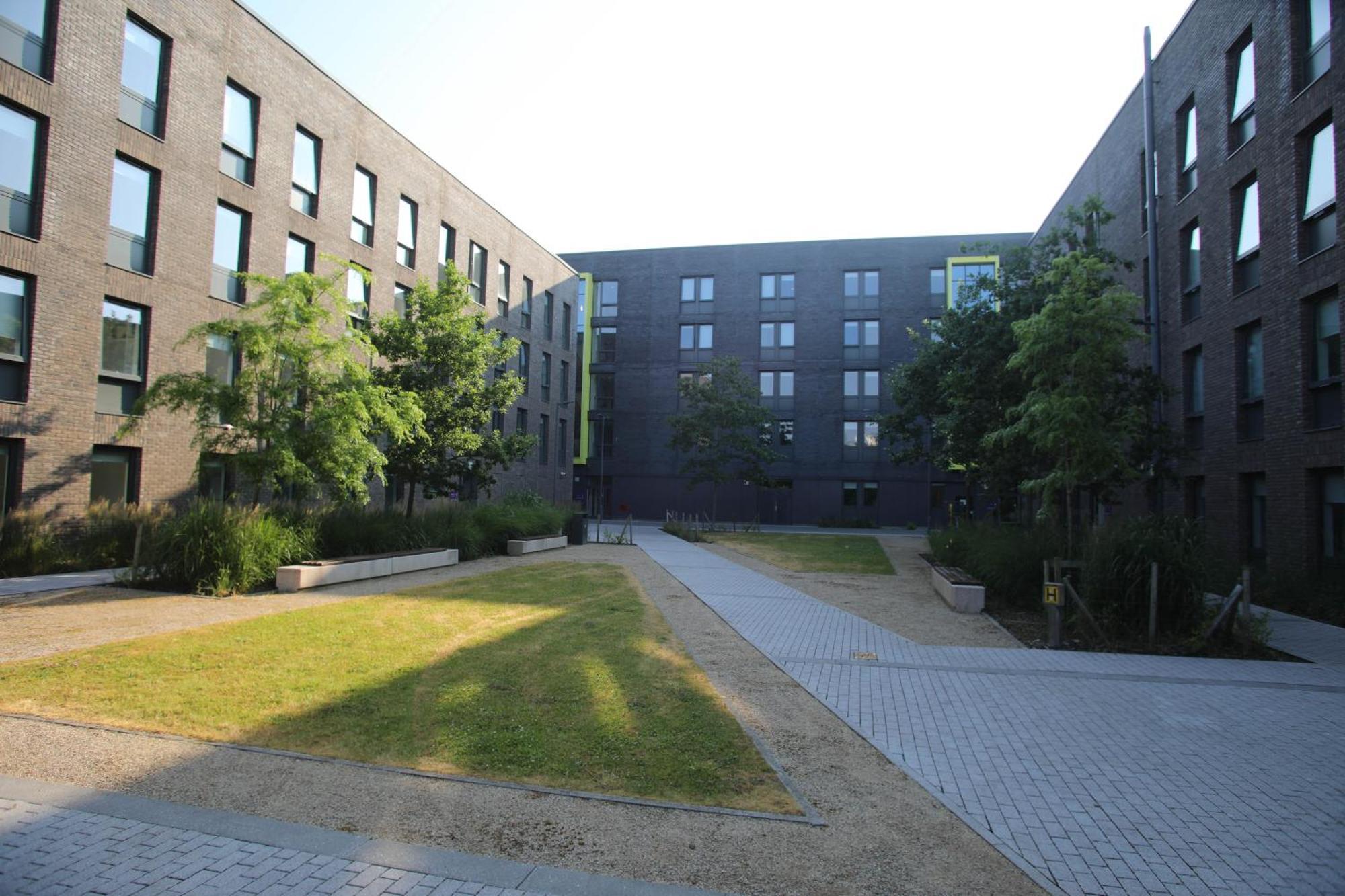 Goldcrest Village Rooms University Of Голуей Екстериор снимка