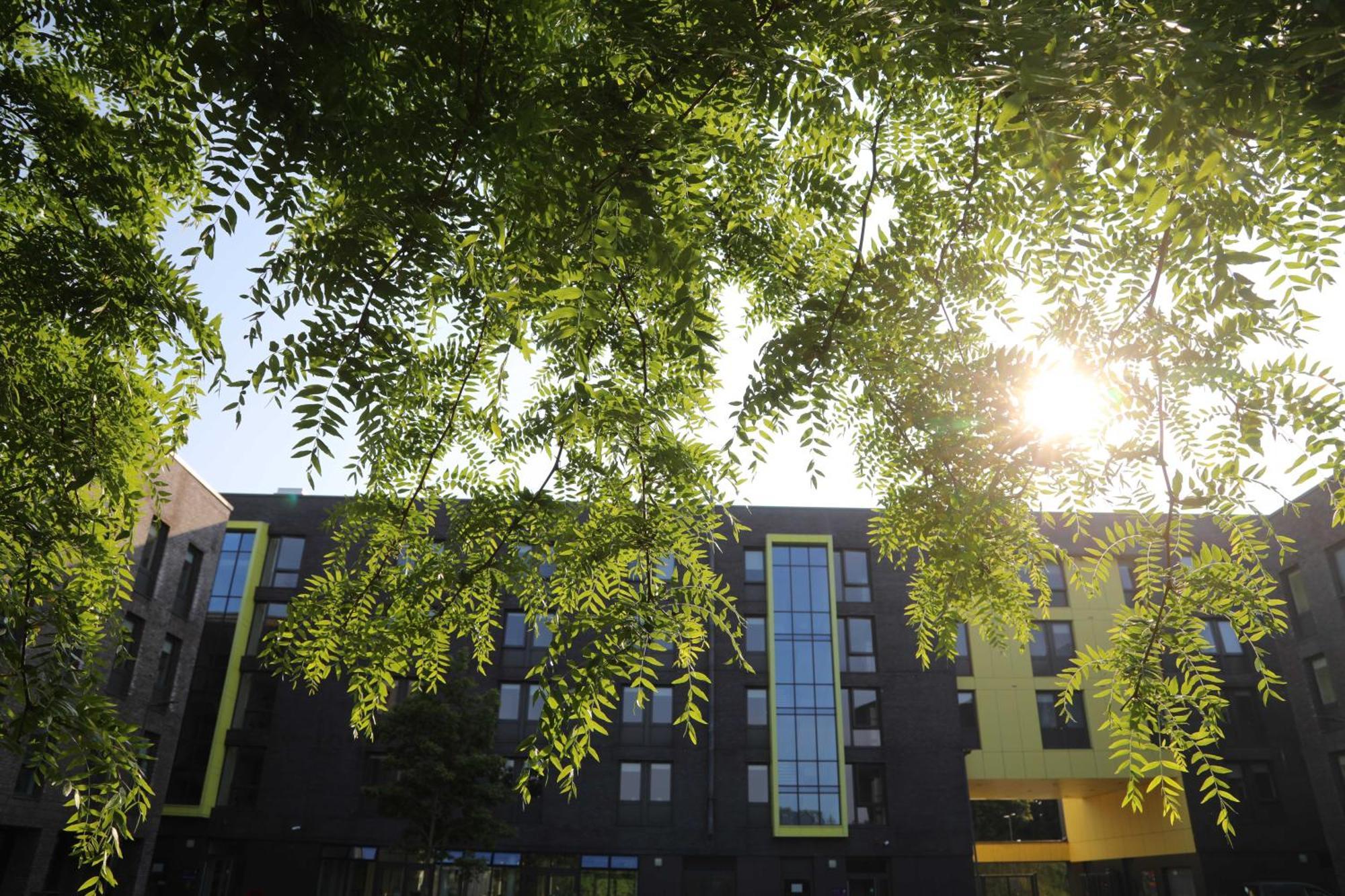 Goldcrest Village Rooms University Of Голуей Екстериор снимка